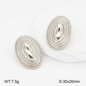 2E2007235vbnl-775  Stainless Steel Earrings