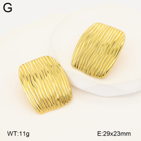2E2007236bbov-775  Stainless Steel Earrings