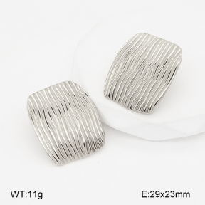 2E2007237bbml-775  Stainless Steel Earrings