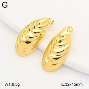 2E2007238bhbl-775  Stainless Steel Earrings