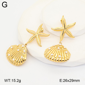 2E3004139ahjb-775  Stainless Steel Earrings