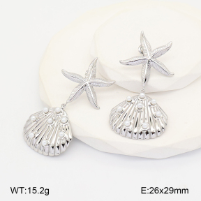 2E3004140vhha-775  Stainless Steel Earrings