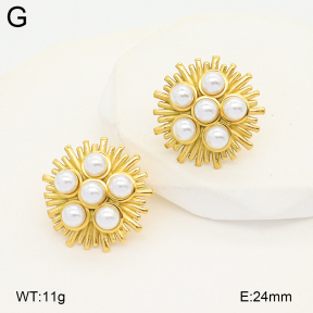 2E3004141ahjb-775  Stainless Steel Earrings
