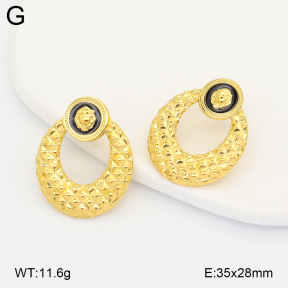 2E3004143bhia-775  Stainless Steel Earrings
