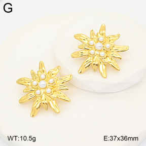 2E3004145bvpl-775  Stainless Steel Earrings