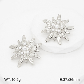 2E3004146bbov-775  Stainless Steel Earrings