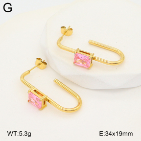 2E4005227bhbl-775  Stainless Steel Earrings