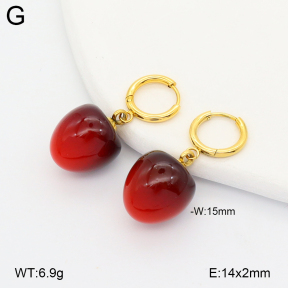 2E4005228vbnl-775  Stainless Steel Earrings