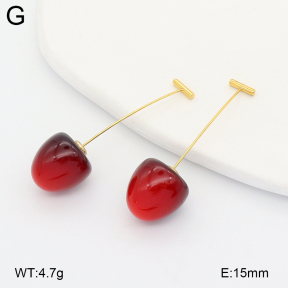 2E4005229bbov-775  Stainless Steel Earrings