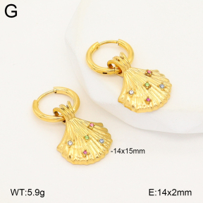 2E4005230vhhl-775  Stainless Steel Earrings