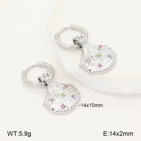 2E4005231bhva-775  Stainless Steel Earrings