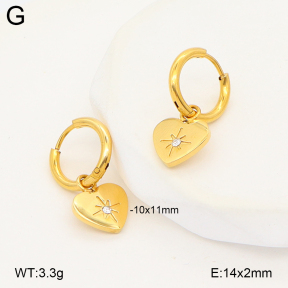 2E4005232bvpl-775  Stainless Steel Earrings