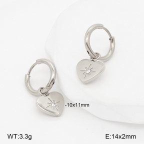 2E4005233bbov-775  Stainless Steel Earrings