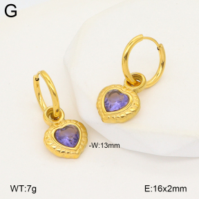 2E4005234bhva-775  Stainless Steel Earrings