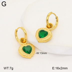 2E4005235bhva-775  Stainless Steel Earrings