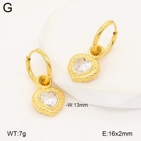 2E4005236bhva-775  Stainless Steel Earrings