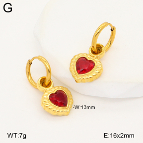 2E4005237bhva-775  Stainless Steel Earrings