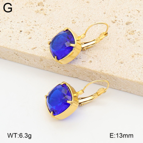2E4005238vhhl-775  Stainless Steel Earrings