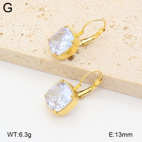 2E4005239vhhl-775  Stainless Steel Earrings