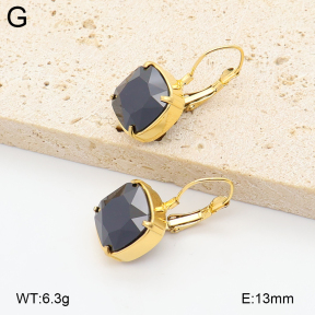 2E4005240vhhl-775  Stainless Steel Earrings