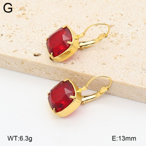 2E4005241vhhl-775  Stainless Steel Earrings