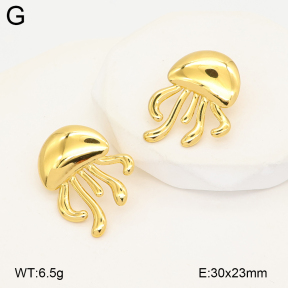 2E4005242bbov-775  Stainless Steel Earrings