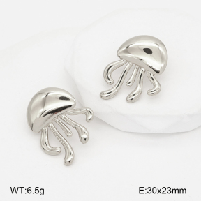 2E4005243bbml-775  Stainless Steel Earrings