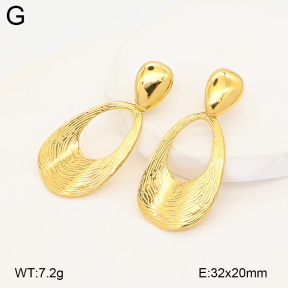 2E4005244bhil-775  Stainless Steel Earrings