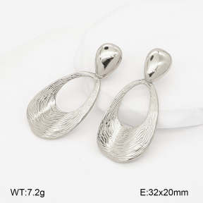 2E4005245bhbl-775  Stainless Steel Earrings