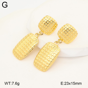2E4005246ahjb-775  Stainless Steel Earrings