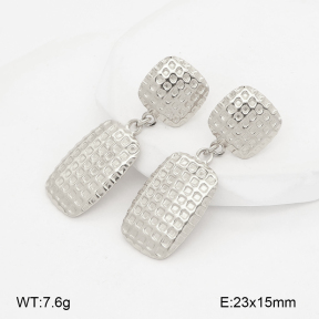 2E4005247bhbl-775  Stainless Steel Earrings