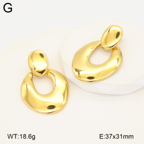 2E4005248ahlv-775  Stainless Steel Earrings