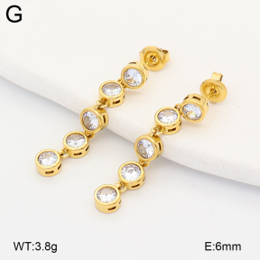 2E4005249vhkb-775  Stainless Steel Earrings
