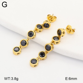 2E4005251vhkb-775  Stainless Steel Earrings