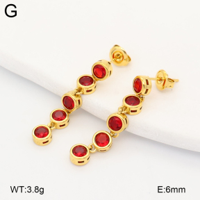 2E4005252vhkb-775  Stainless Steel Earrings