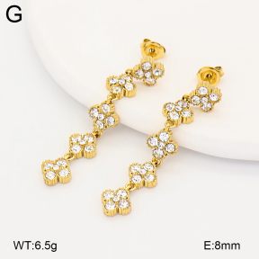2E4005253vhkb-775  Stainless Steel Earrings