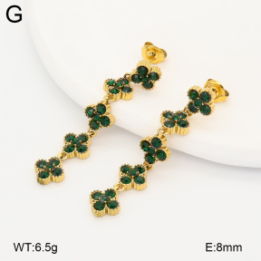 2E4005254vhkb-775  Stainless Steel Earrings
