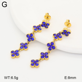 2E4005255vhkb-775  Stainless Steel Earrings