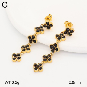2E4005257vhkb-775  Stainless Steel Earrings
