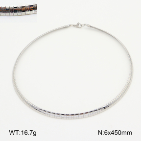 2N2009059vbnl-775  Stainless Steel Necklace