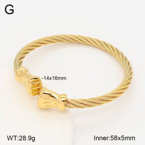 2BA202787bbov-387  Stainless Steel Bangle