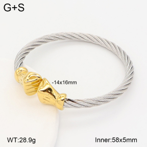 2BA202788vbnb-387  Stainless Steel Bangle