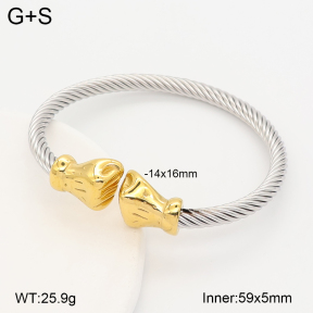 2BA202794vbnb-387  Stainless Steel Bangle