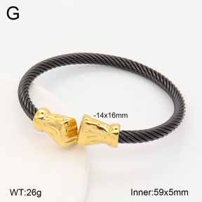 2BA202795vbnl-387  Stainless Steel Bangle