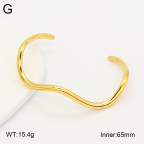 2BA202797vhkb-649  Stainless Steel Bangle