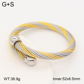2BA202799vhha-721  Stainless Steel Bangle