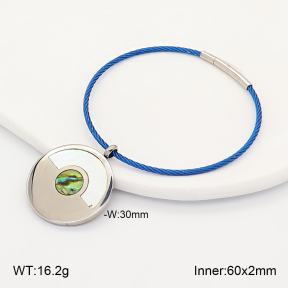 2BA300691vhha-721  Stainless Steel Bangle