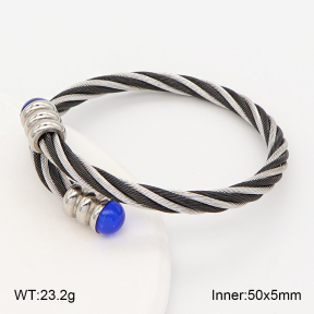 2BA402947vhha-721  Stainless Steel Bangle