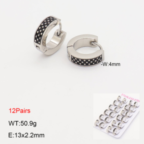 2E2007246akoa-387  Stainless Steel Earrings