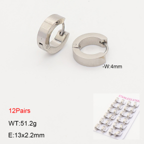 2E2007247ajvb-387  Stainless Steel Earrings
